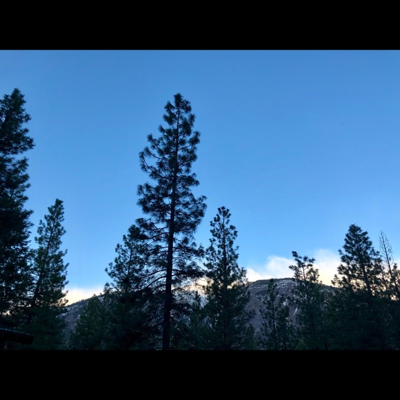 Meet your Posher, Richelle - Picture 1 of 1